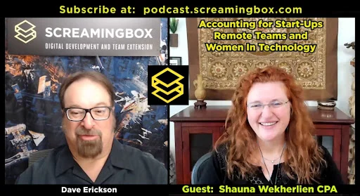Interview Series - The Tax Goddess: Shauna Wekherlien, CPA