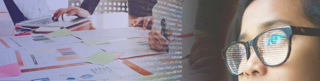 What is a Business Analyst Developer?